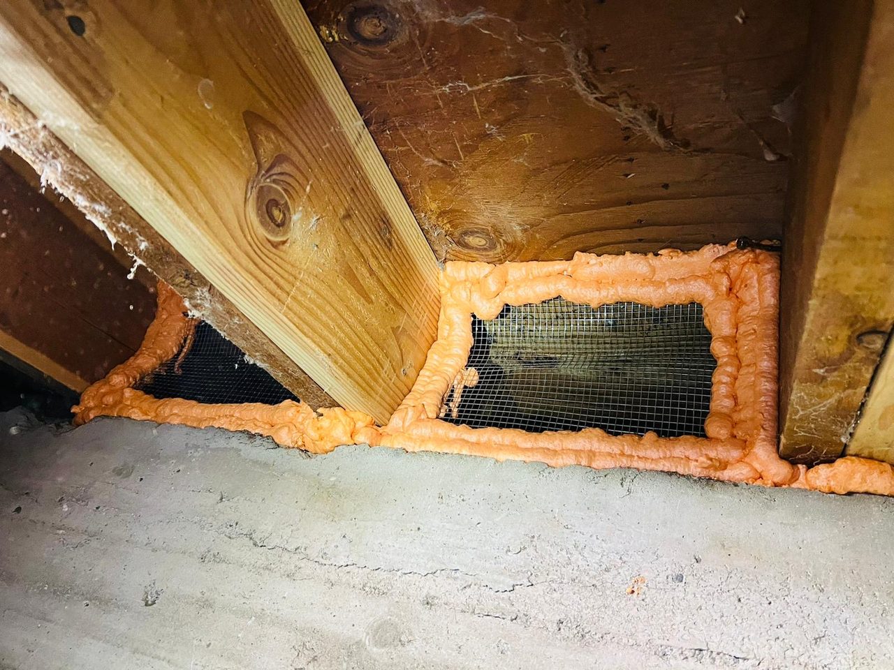 Attics Express technician performing rodent proofing inspection in the Bay Area, CA