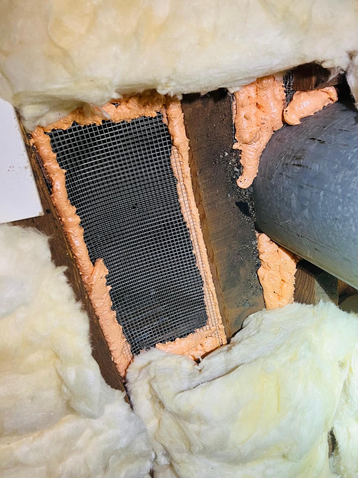 Attics Express rodent proofing technician