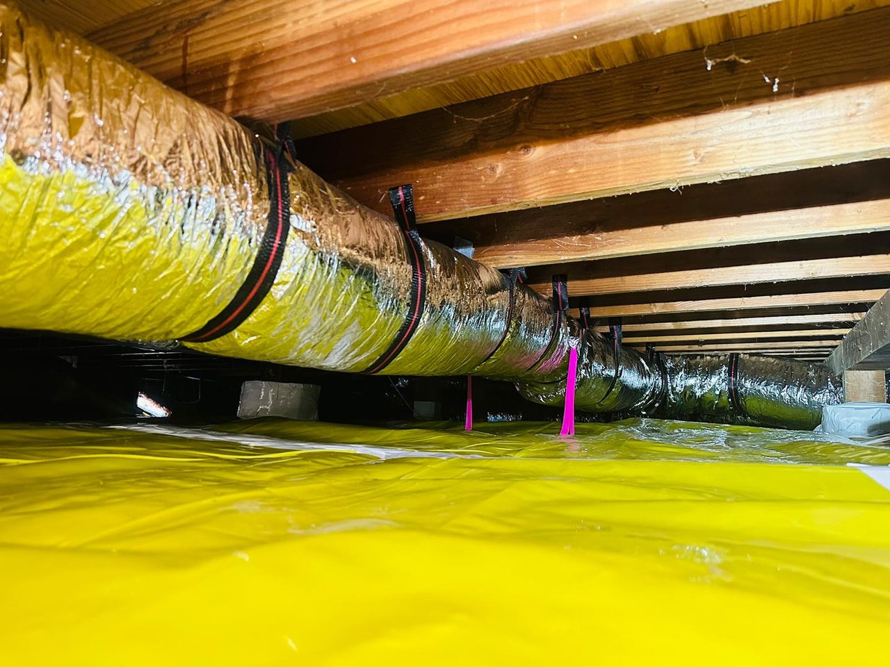 Attics Express rodent proofing detail work